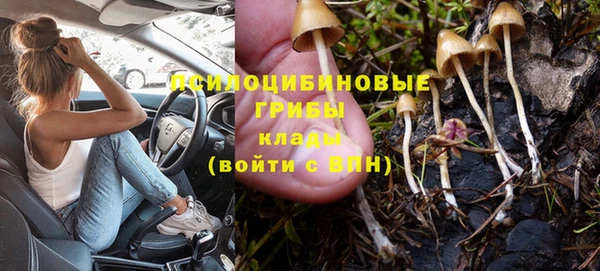 PSILOCYBIN Баксан