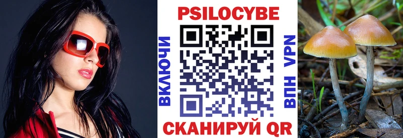 Псилоцибиновые грибы Psilocybe  Кулебаки 